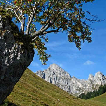 Schneetal Alm - Reuttener Bergbahn