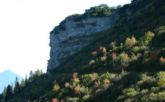 Schneetal Alm - Reuttener Bergbahn