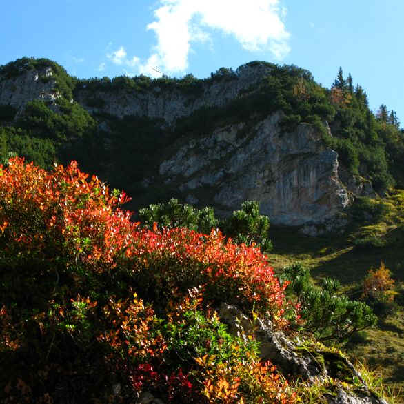 Schneetal Alm - Reuttener Bergbahn