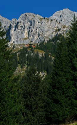 Schneetal Alm - Reuttener Bergbahn