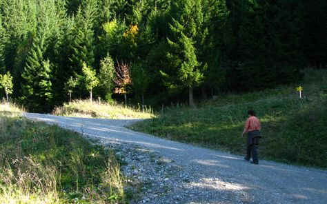 Schneetal Alm - Reuttener Bergbahn