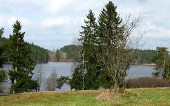 Schmutterweiher