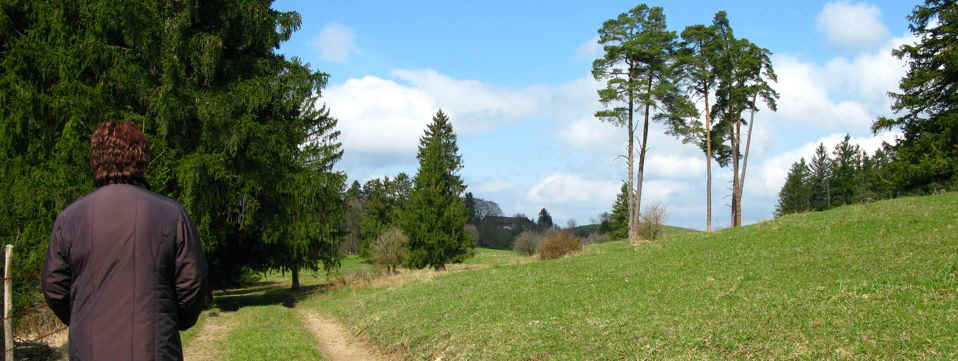 Schmutterweiher