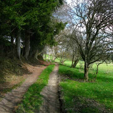 Schmutterweiher