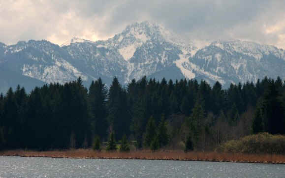 Schmutterweiher