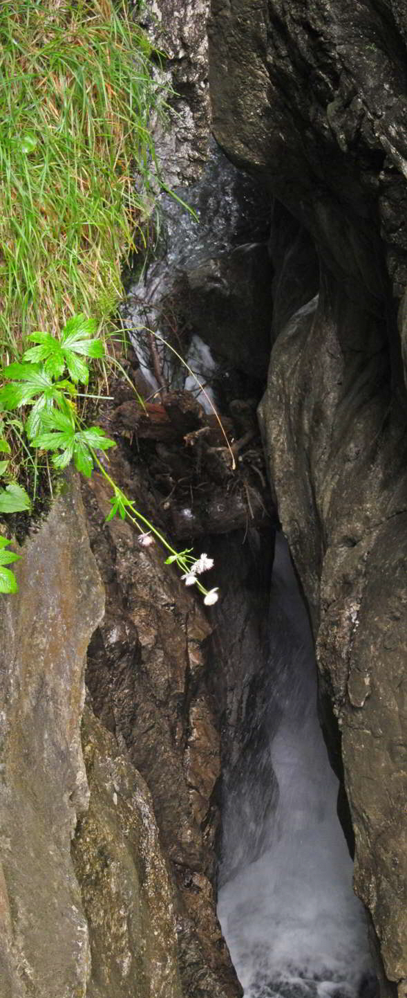 Hoelltobel Gerstruben