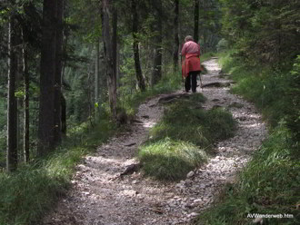 Schuetzensteig Ammerwald