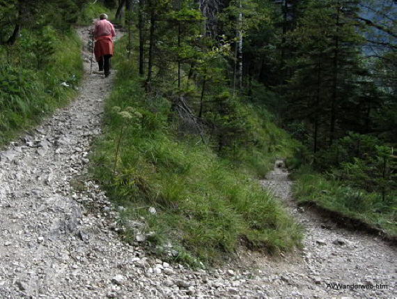 Schuetzensteig Ammerwald