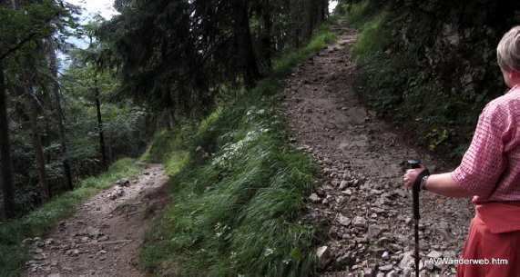 Schuetzensteig Ammerwald