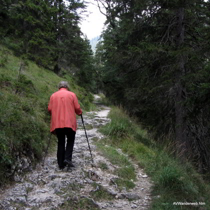 Schuetzensteig Ammerwald