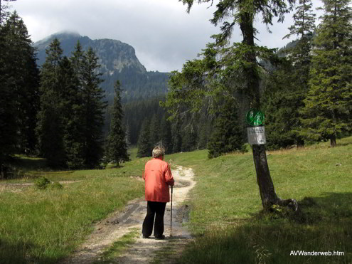 Schuetzensteig Ammerwald