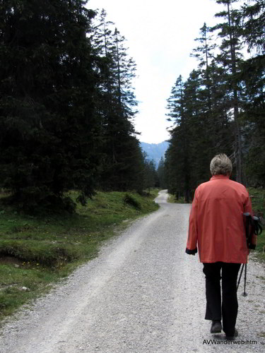 Schuetzensteig Ammerwald