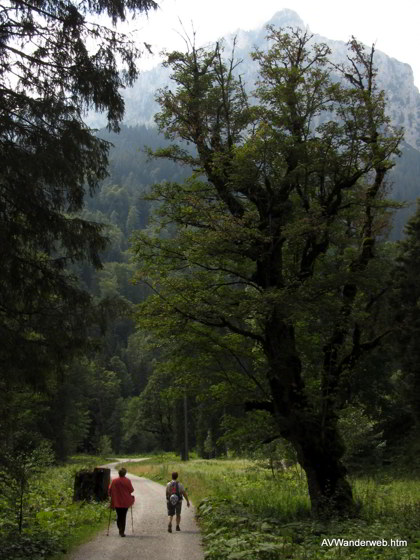 Schuetzensteig Ammerwald