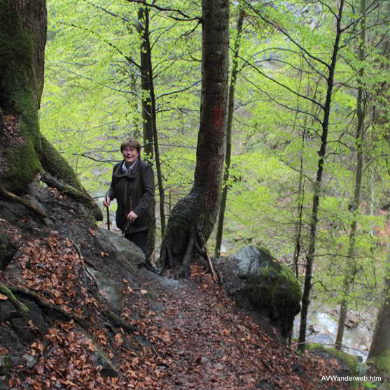 Hoelltobel Wasserfall